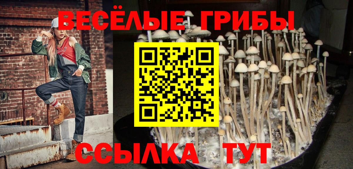 Галлюциногенные грибы GOLDEN TEACHER  Галлюциногенные грибы мицелий  Шатура  Вход с VPN 