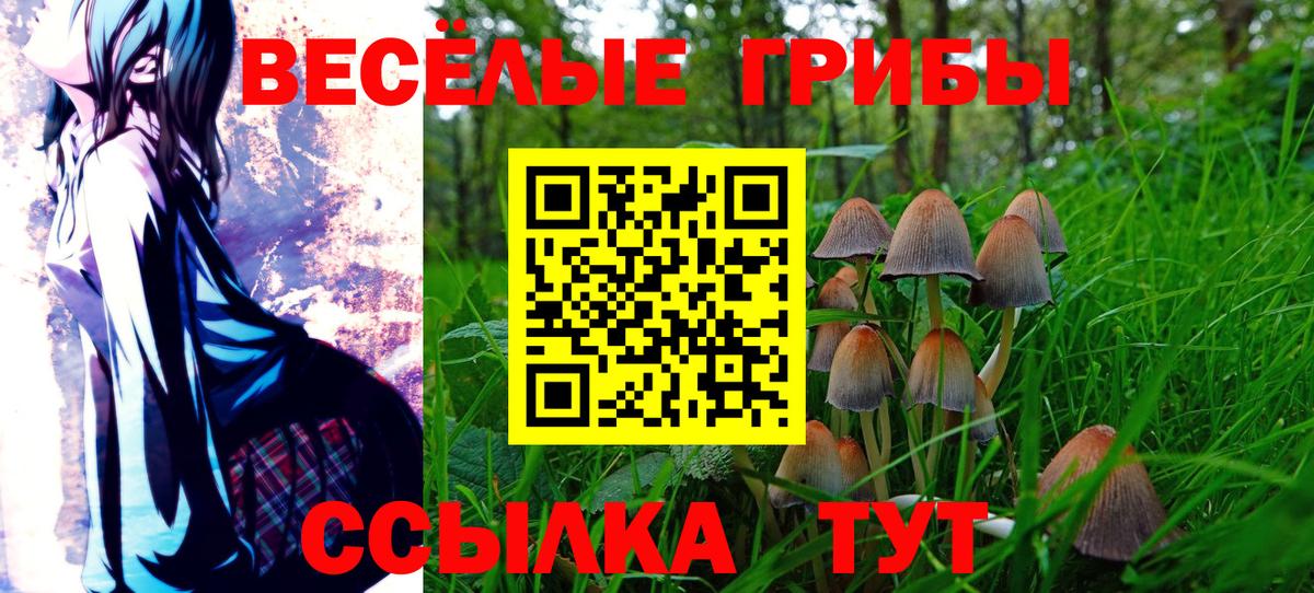 Галлюциногенные грибы Psilocybine cubensis Шатура